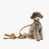 Gassi-Beutelspender mit Handschlaufe aus Leder mit Monogram-Print Gassi-Beutelspender mit Handschlaufe aus Leder mit Monogram-Print